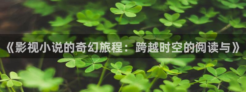 天龙影院在线免费观看电影完整版：《影视小说的奇幻旅程：跨越时空的阅读与》