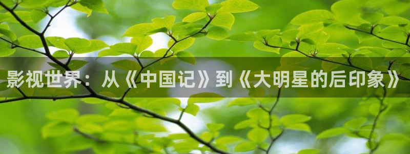 手机天龙影院：影视世界：从《中国记》到《大明星的后印象》