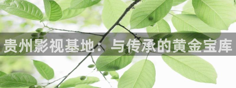 眉县天龙国际影城：贵州影视基地：与传承的黄金宝库