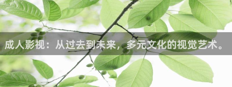 天龙3：成人影视：从过去到未来，多元文化的视觉艺术。