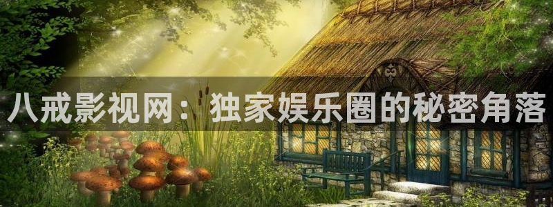 天龙影视播放器：八戒影视网：独家娱乐圈的秘密角落