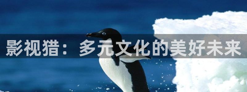 天龙家庭影院音响
