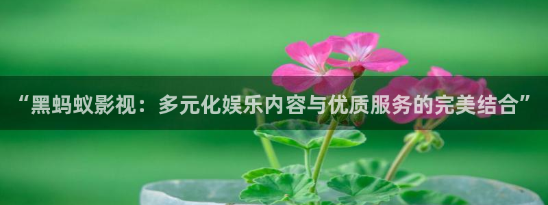 天龙高清影视