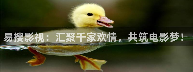 天龙东风